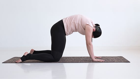 Eine Frau führt die Yoga-Übung "Katze" aus